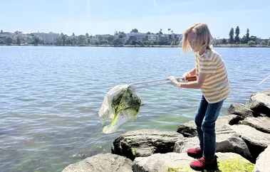 Lake Merritt shoreline stewardship
