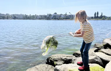 Lake Merritt stewardship photograph