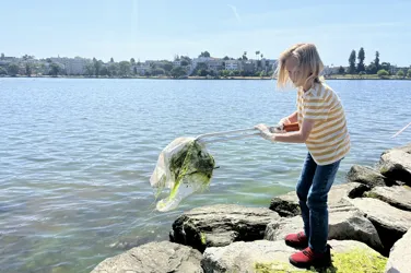 Lake Merritt Institute community and lake photograph